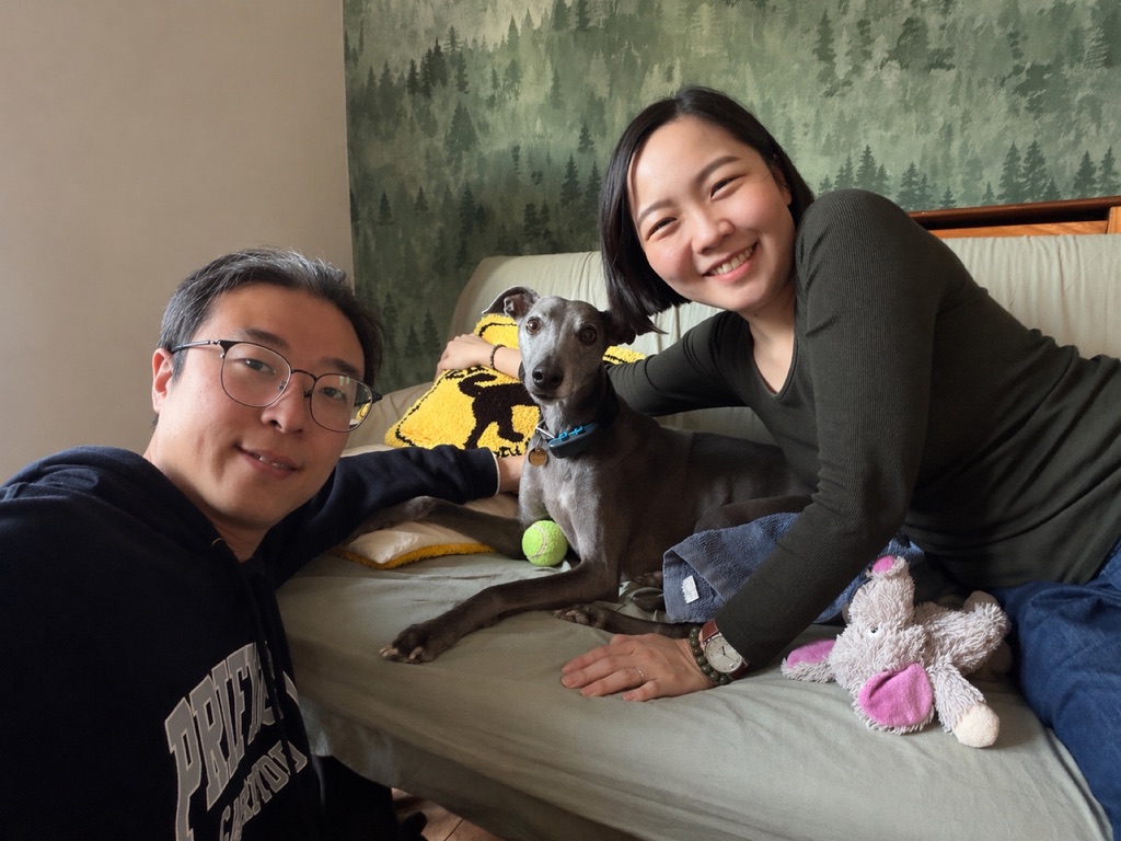 Dogs at The Cuddly Lane