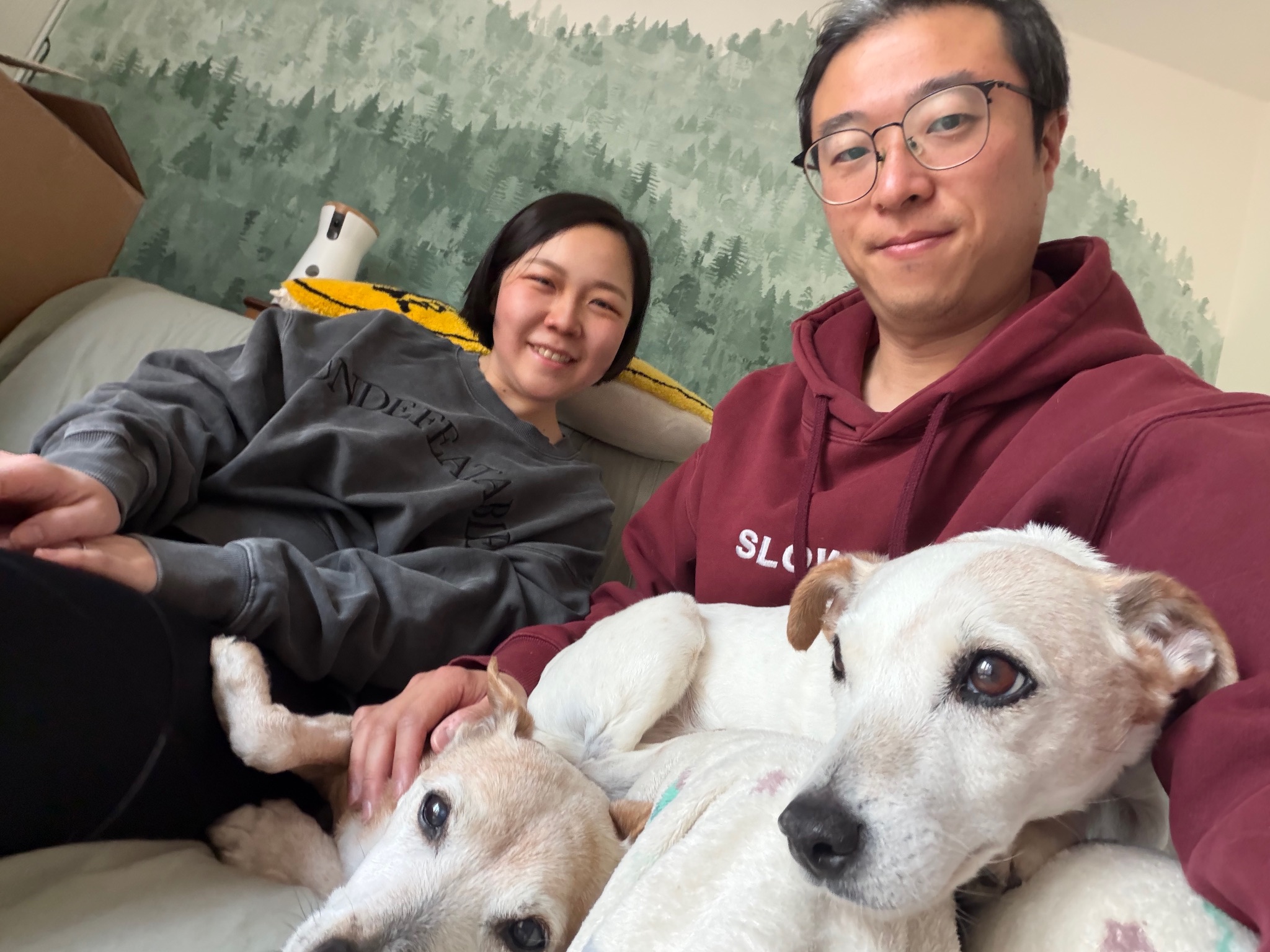 Dogs at The Cuddly Lane